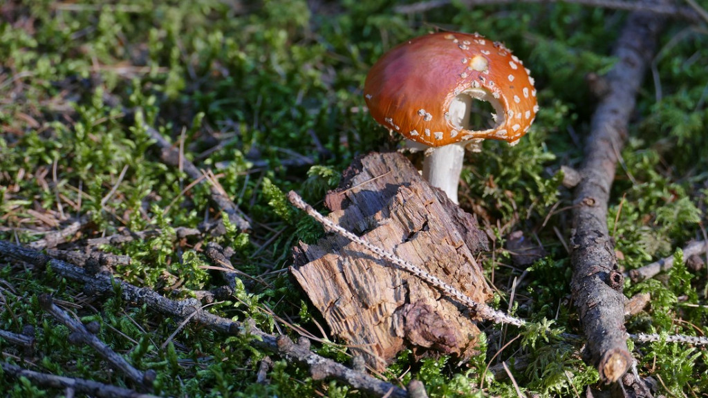 verkleinert .P1290173 x.jpg