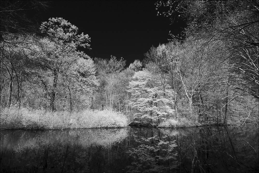 tiergarten_1_einzelbild.jpg