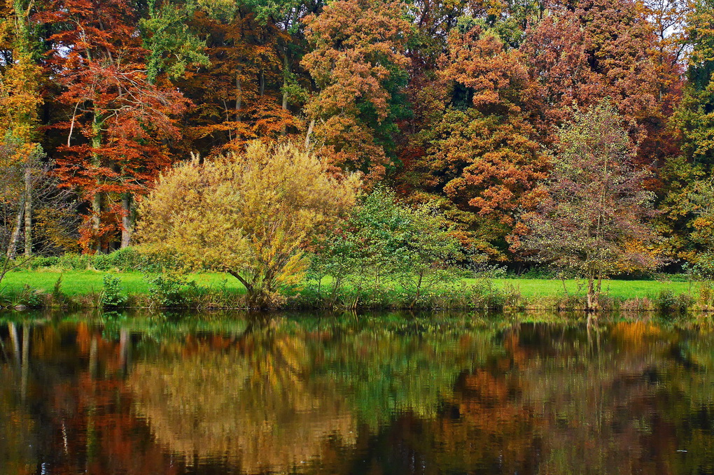 Herbst.JPG