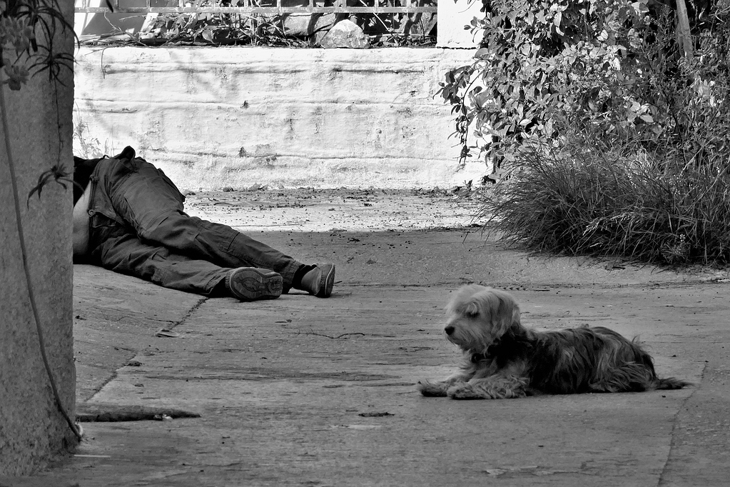 comp_P1000514a SW.jpg