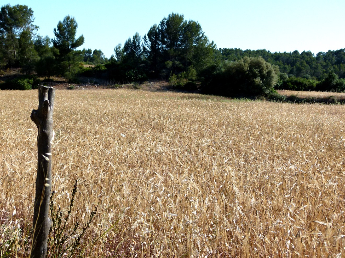 2.06.2012 004 Test 02.jpg