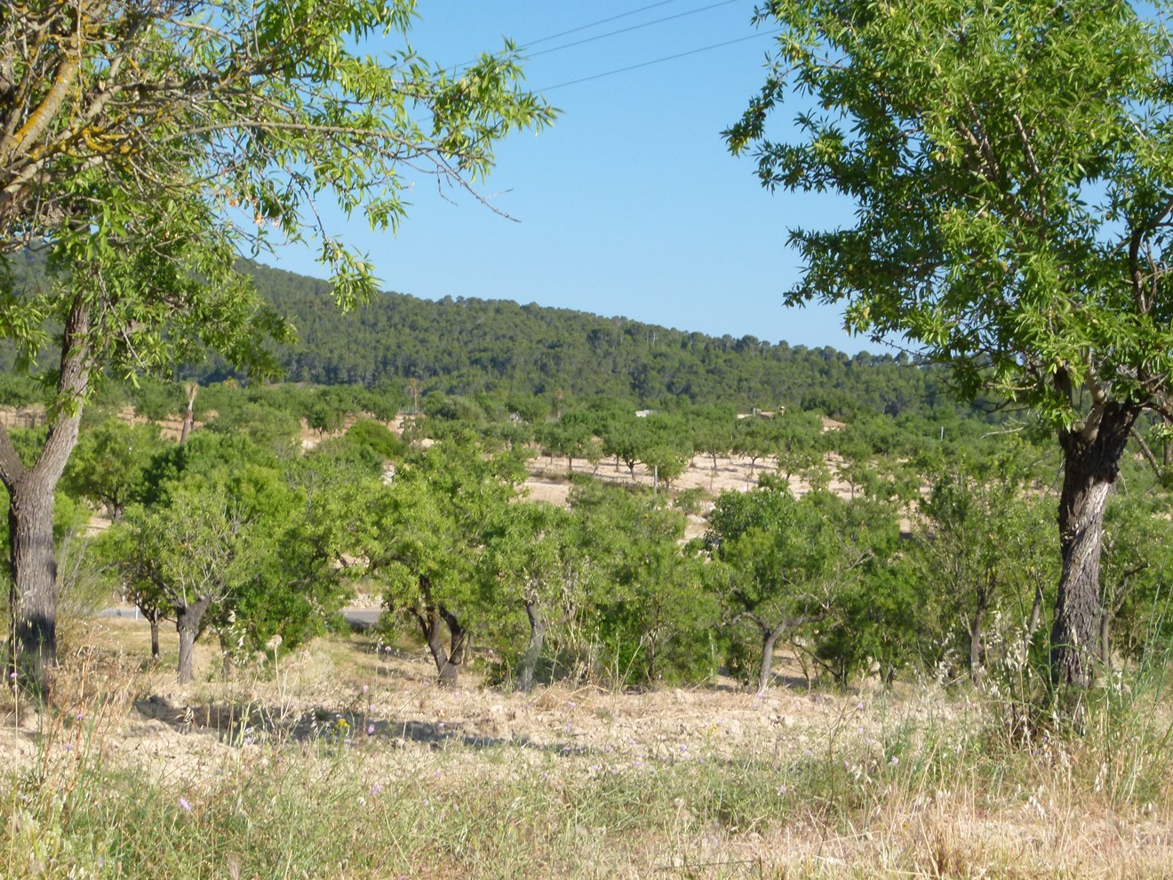 2.06.2012 041 Test01.jpg