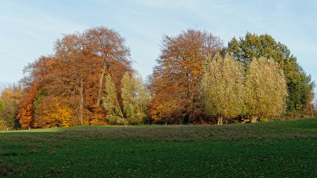 P1130370_DxO.jpg