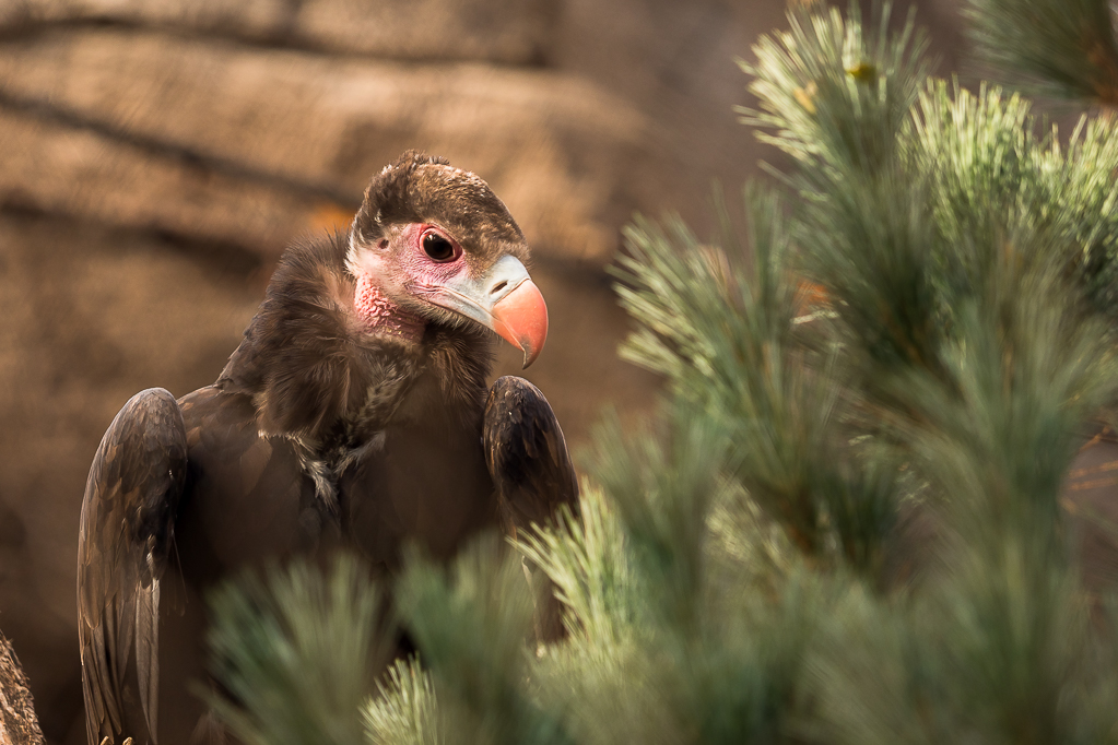 PB100622-comp 10.JPG