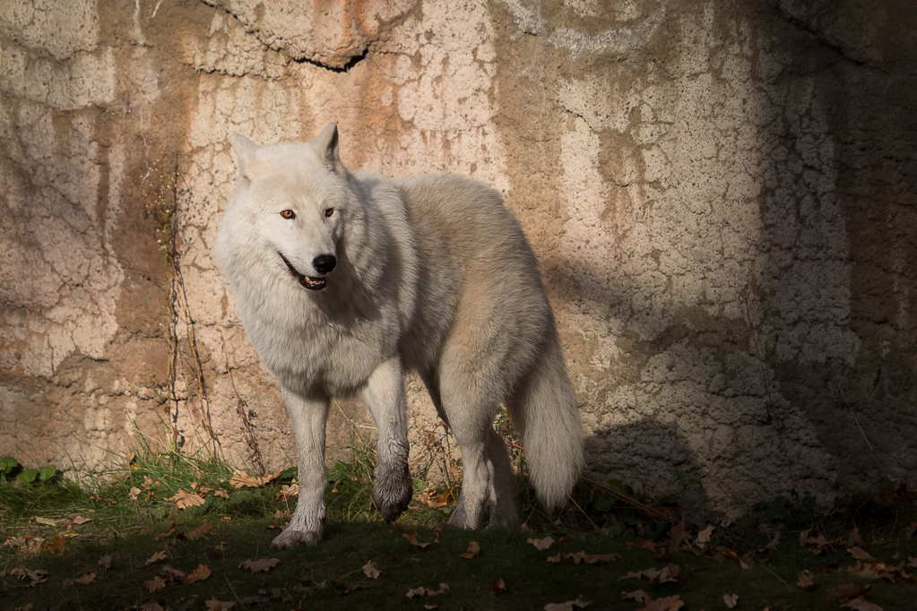 PB100810-comp 10.JPG