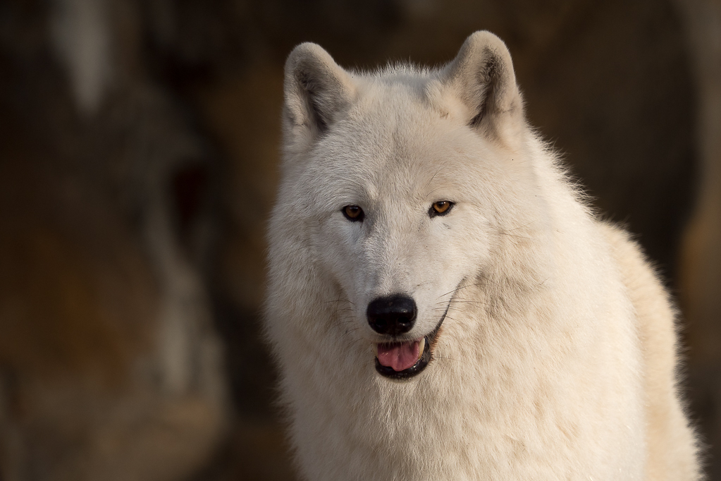 PB100832-comp 10.JPG