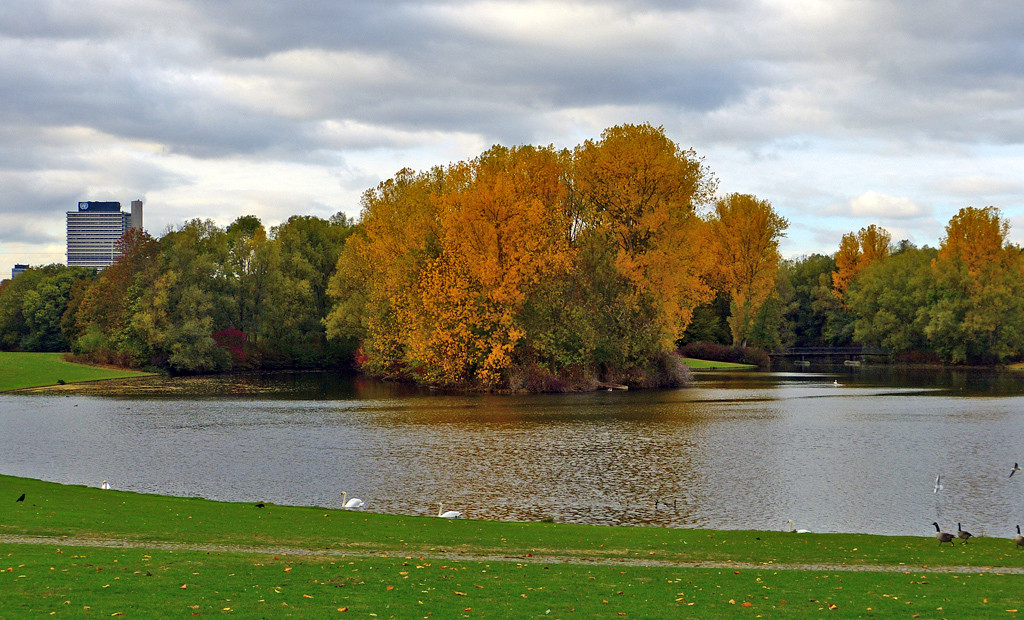 Herbst in der Bonner Rheinaue 2.jpg