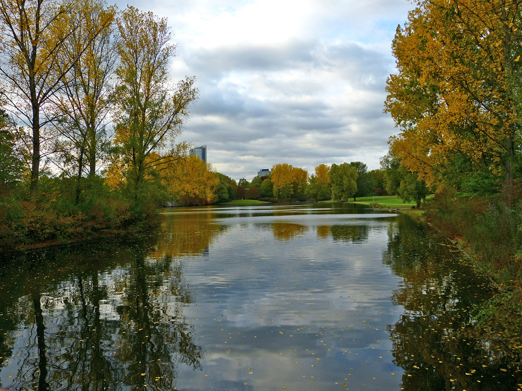 Herbst in der Bonner Rheinaue.jpg