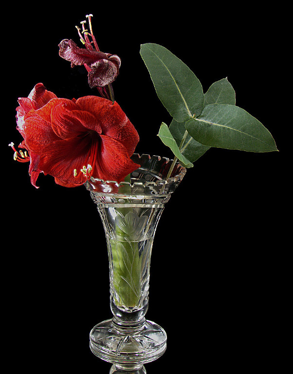 Amaryllis ganz mit Vase klein.jpg