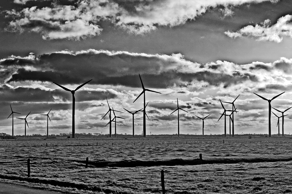 Windräder.jpg