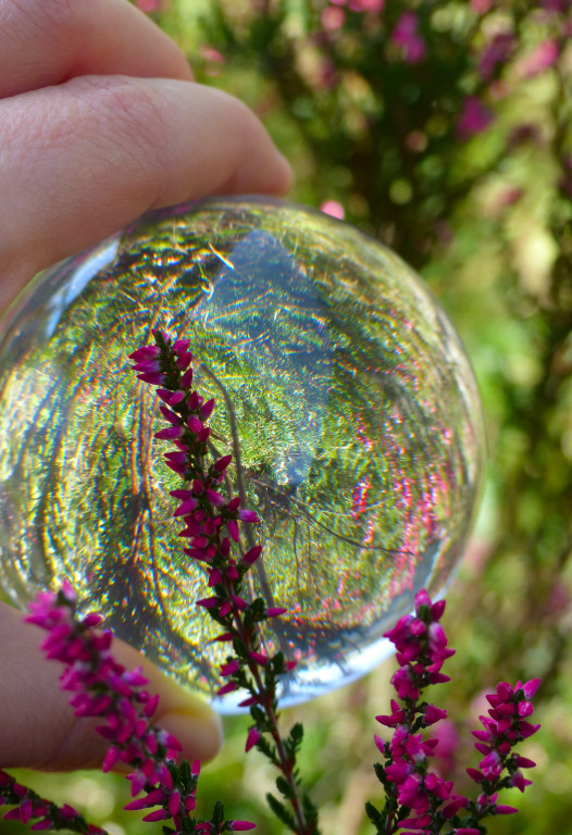 P3430060 verkleinert.JPG