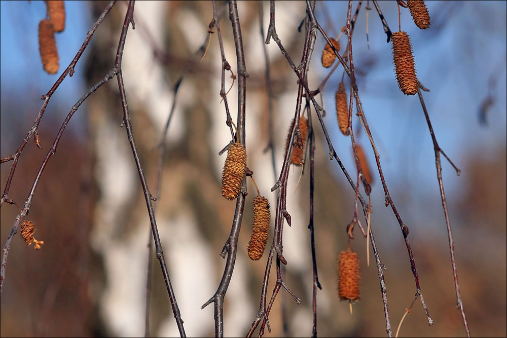 herbst_32.jpg