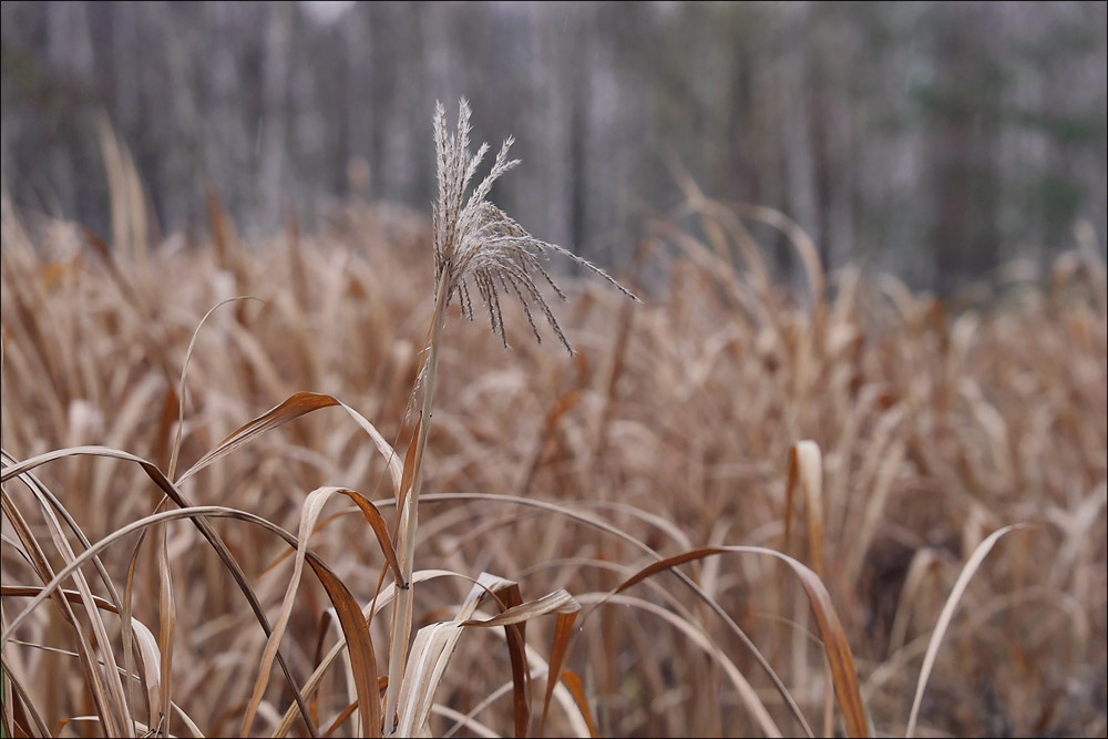 herbst_34.jpg