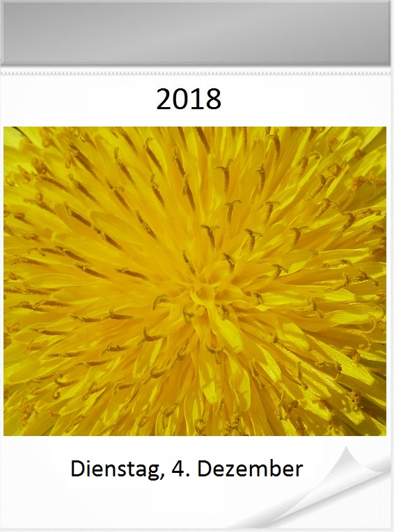 4-12.jpg