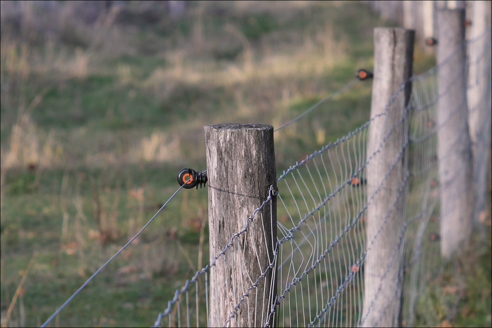 l_hektor_135mm_f4_5_20.jpg