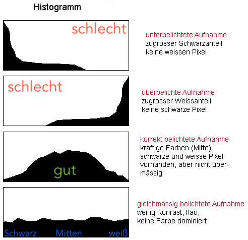 Bildschirmfoto 2018-12-09 um 14.14.40.jpg