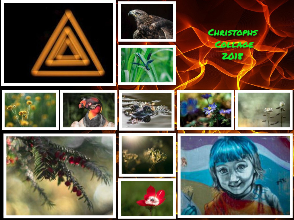 collage 2018.jpg