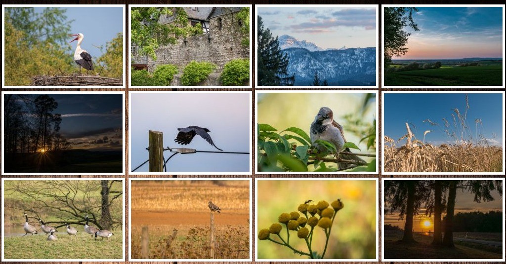 2019_collage_best-of.jpg