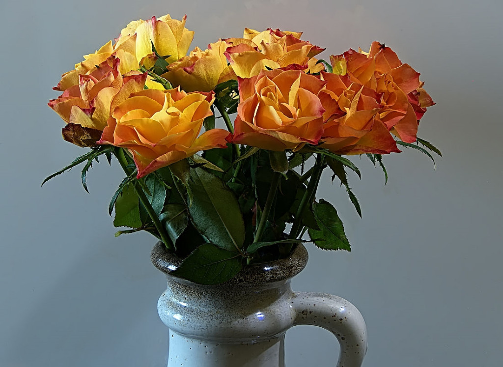 Gelb-Orange Rosen klein.jpg