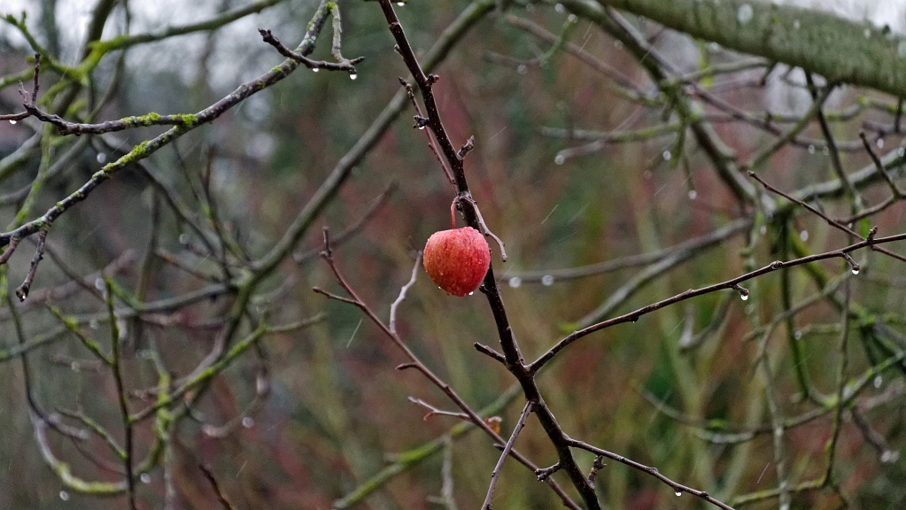 P1130564_DxO.jpg