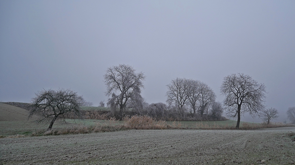 P1360779 lf.JPG