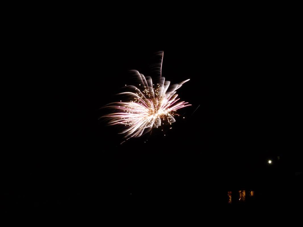 P1000289.jpg
