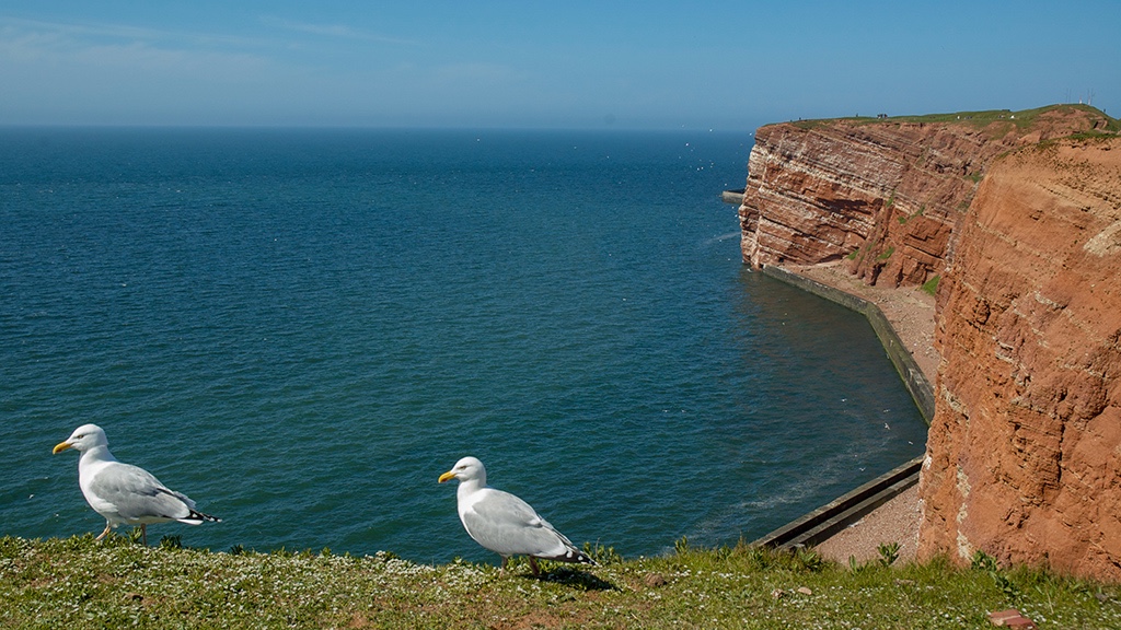 NIKON D70 Helgoland_Gradwanderung Apr2008.jpg