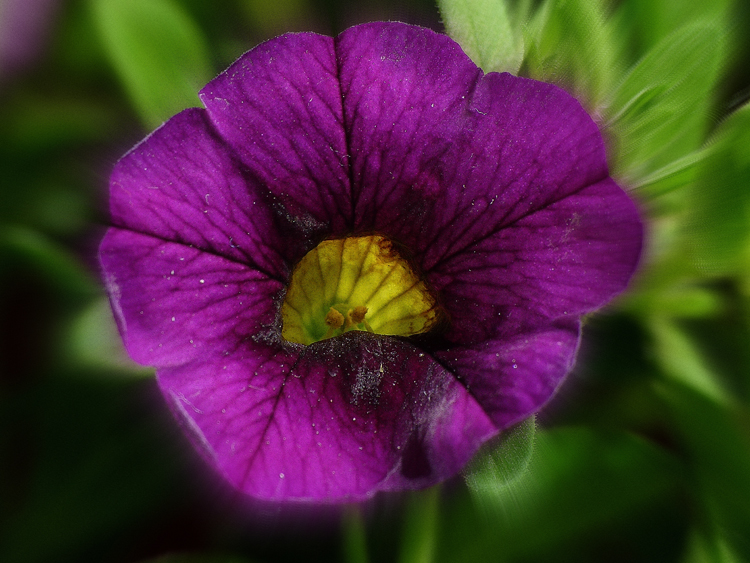 P1030255-b.jpg