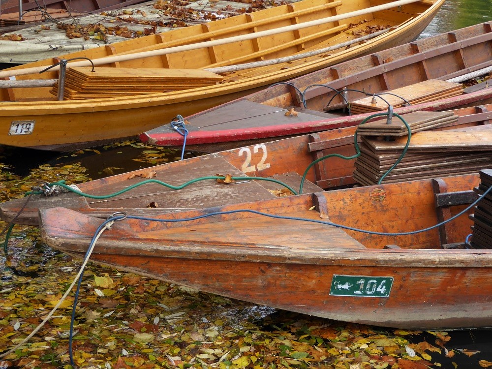 104 P1000205 (2).jpg