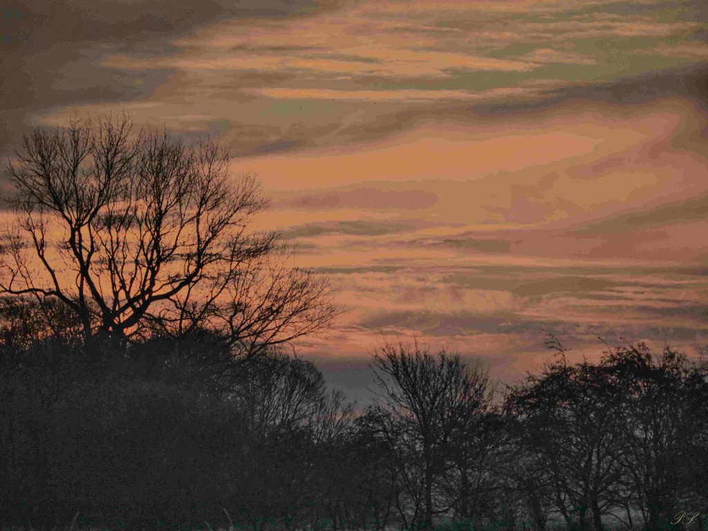 EiderwanderwegP1130162##.jpg
