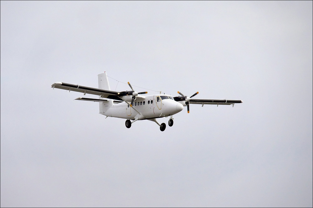 spotting_tegel_2019_01.jpg