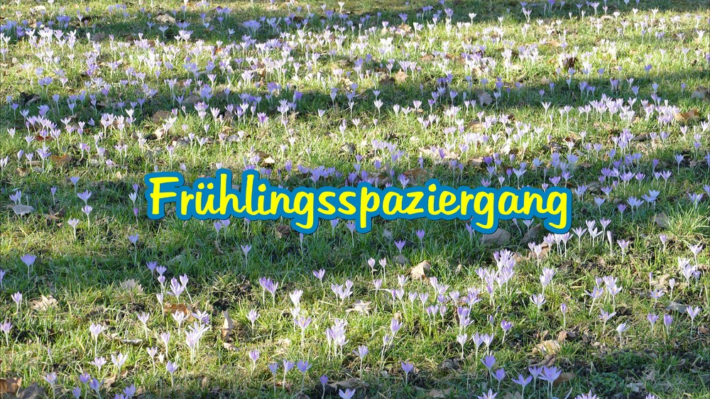 Frühlingsspaziergang.jpg