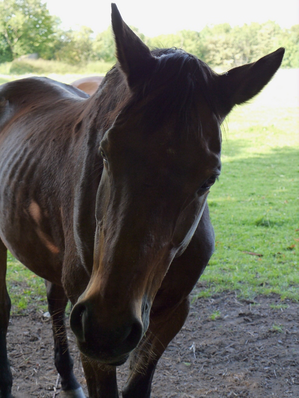 comp3_P1000099 Kopie.jpg