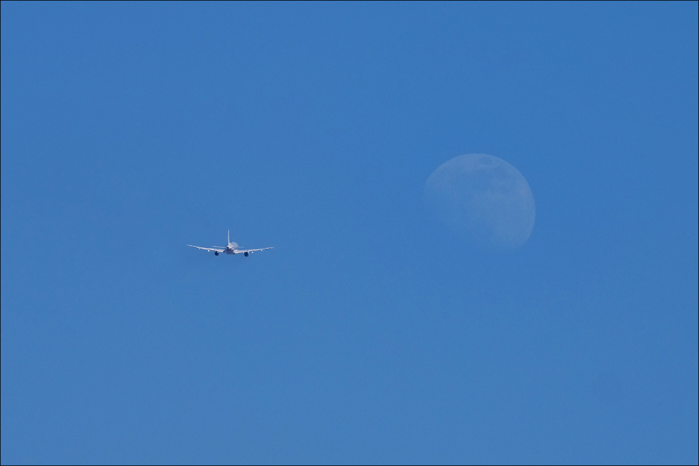 spotting_tegel_2019_04.jpg