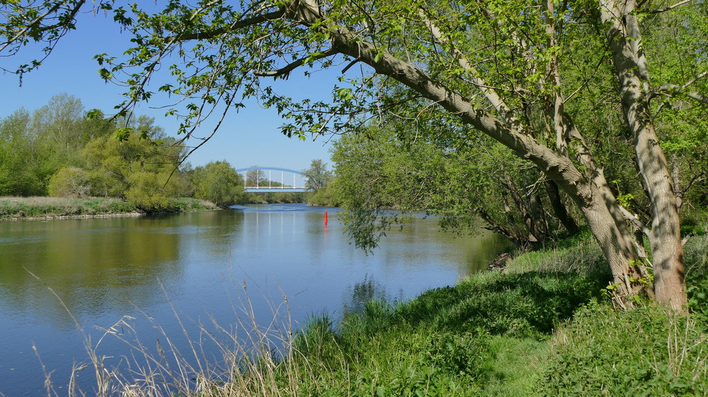 P1230334 verkl.JPG