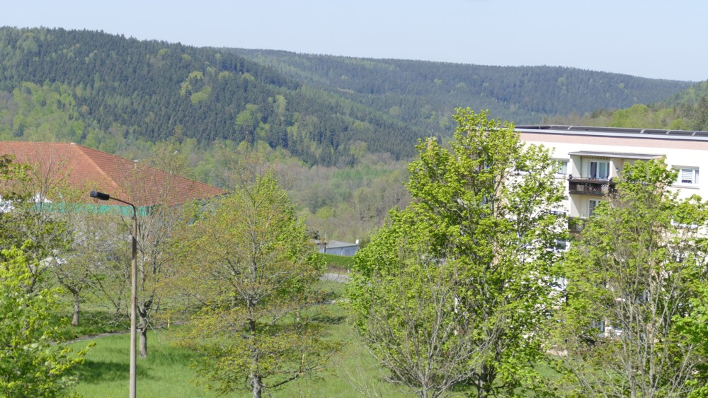 P1030205.jpg