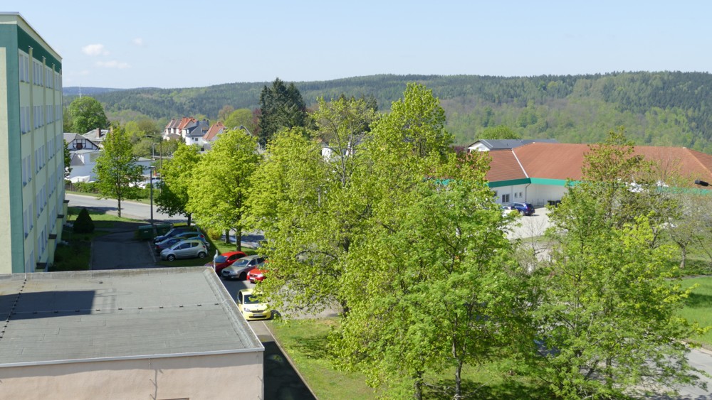 P1030213.jpg