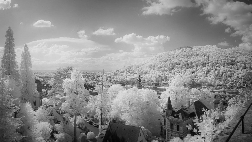 JE 194288-Pano-Aff.jpg