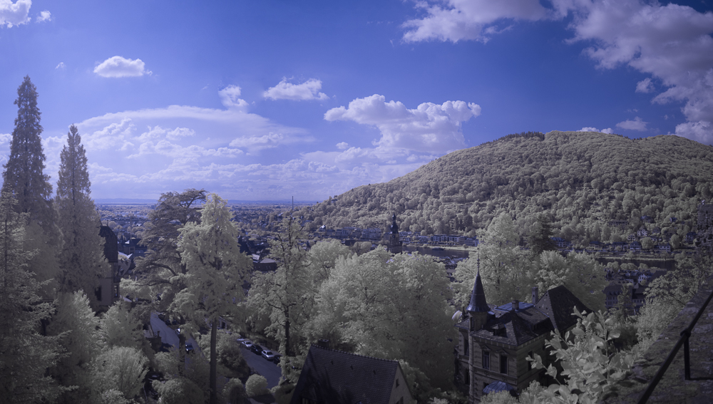 JE 194288-Pano-Aff-Bearbeitet.jpg