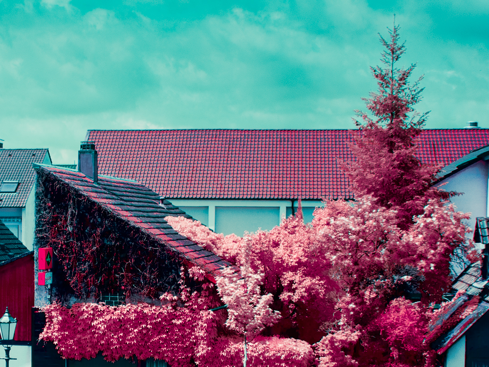 JE 194271-Bearbeitet_01_LuminarFlex-edit.jpg