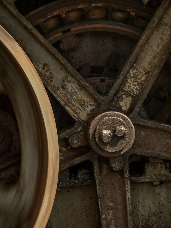 P1330974BeaL.jpg