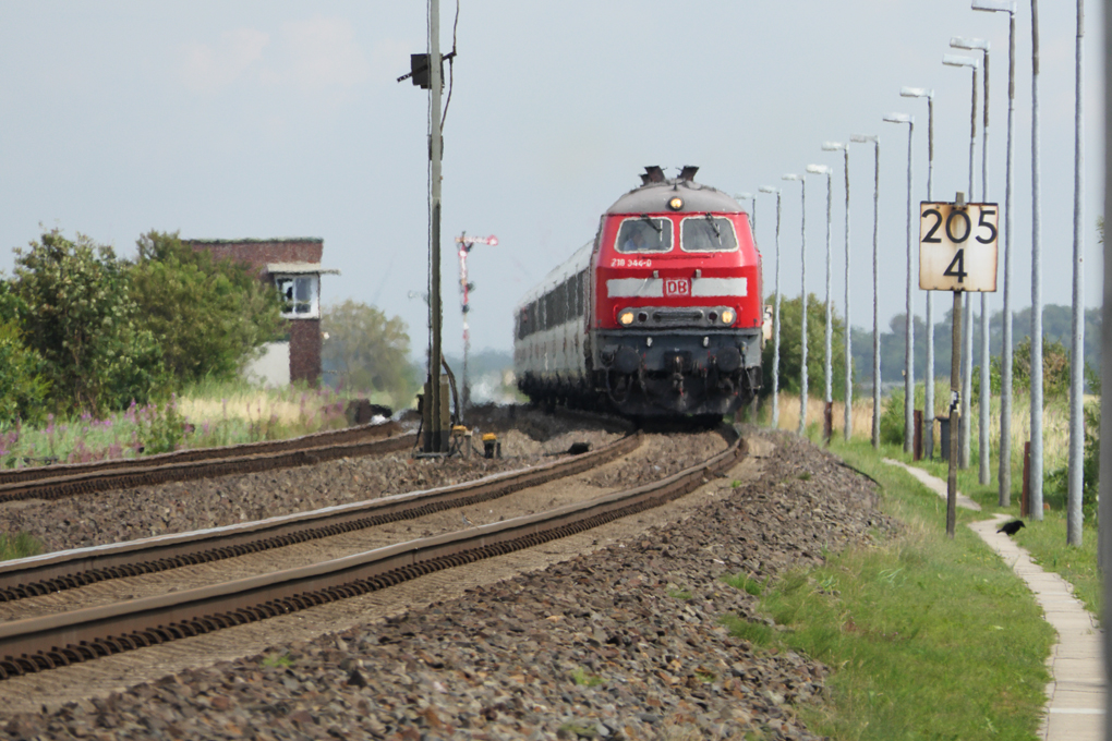G-L5-Lehnshallig-2018-07-12-006.jpg