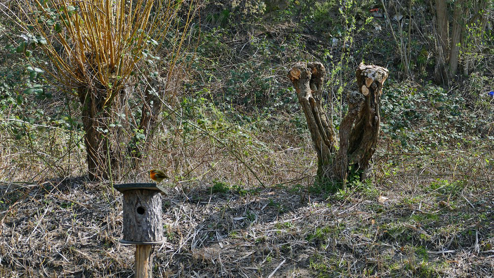 verkleinert .P1370557  x.jpg