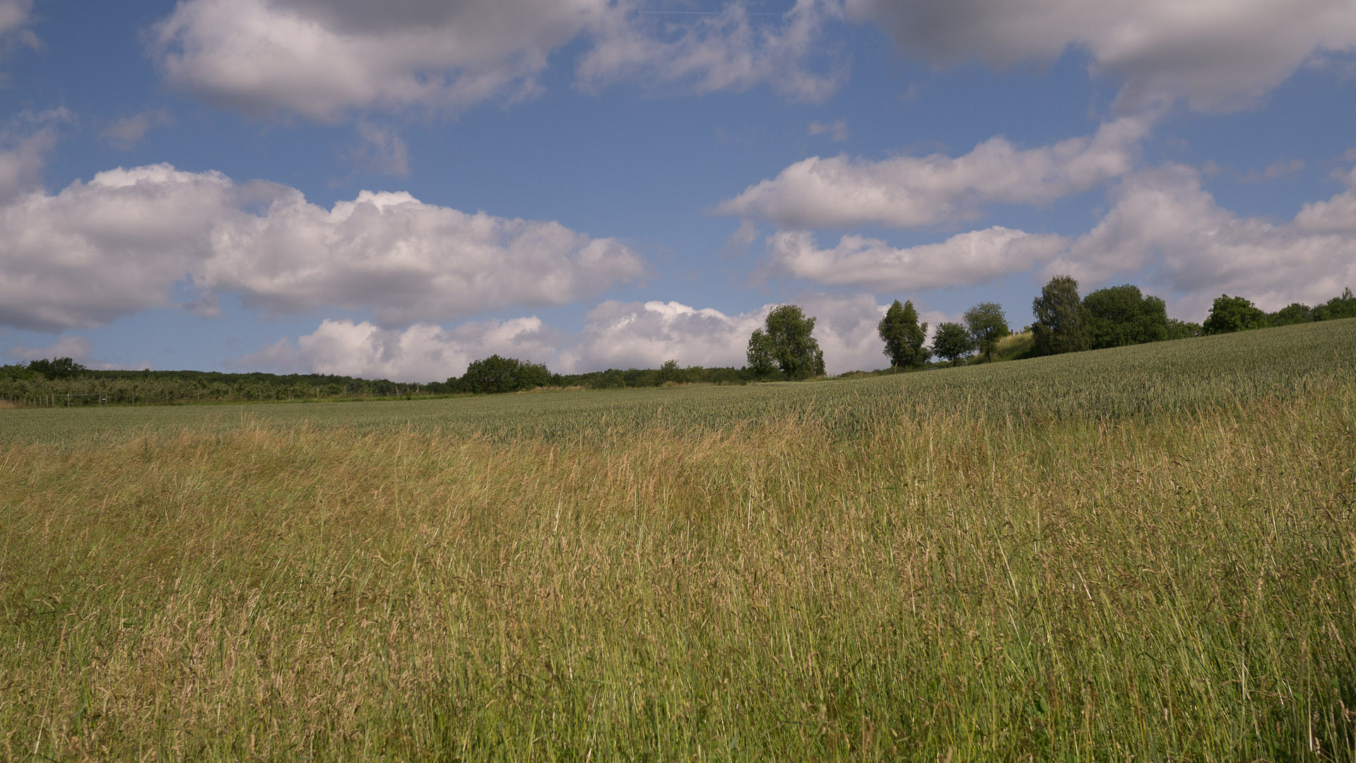 P1020221-2.JPG