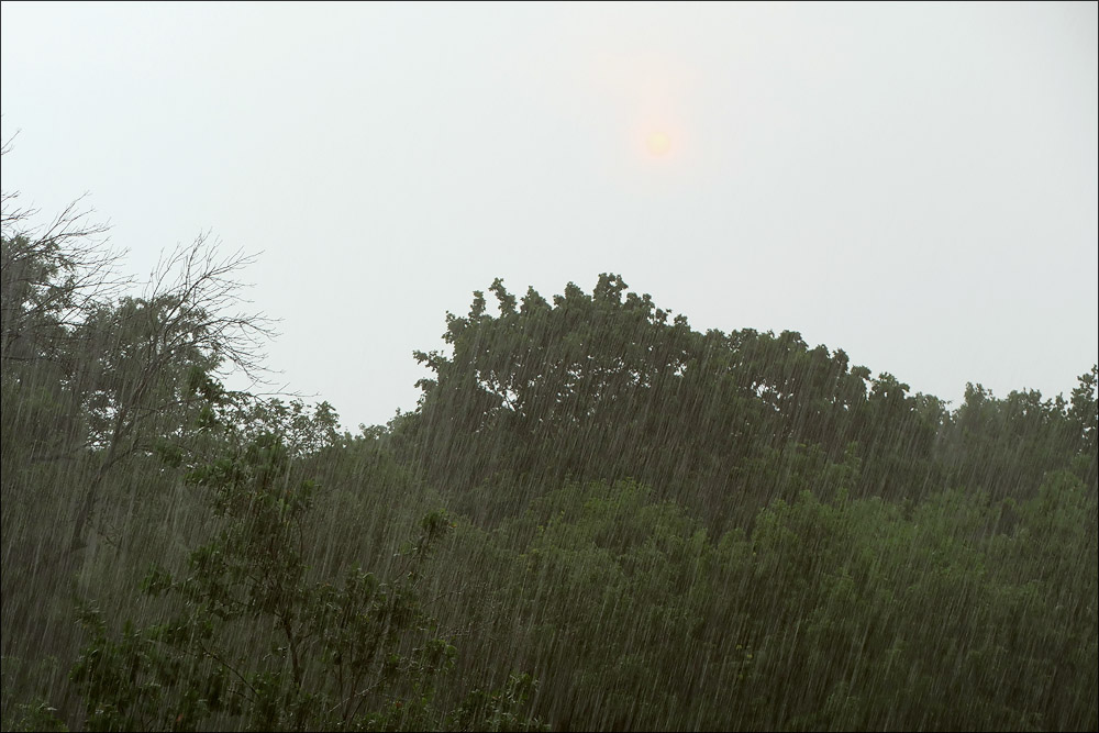 gewitter_sonnenlicht.jpg