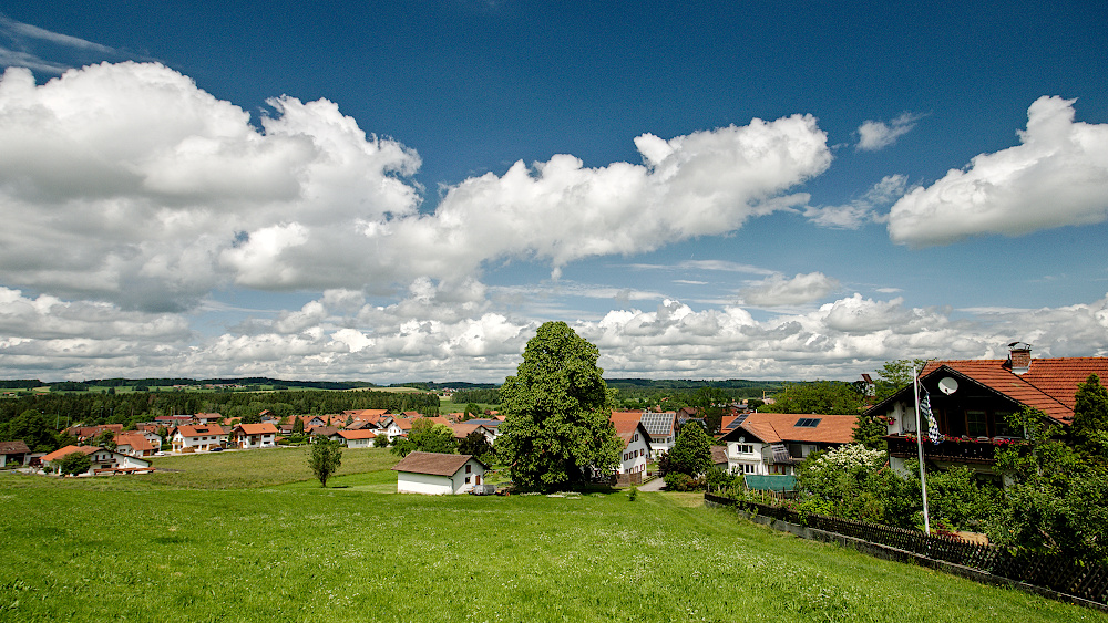 AmRömerweg_Juni2019_04a_1000x563px.JPG