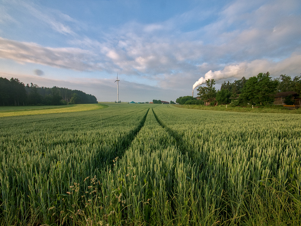 Morgenlicht_Juni2019_04_1000x752px.JPG