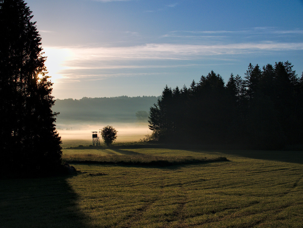 Morgenlicht_Juni2019_02_1280x962px.JPG