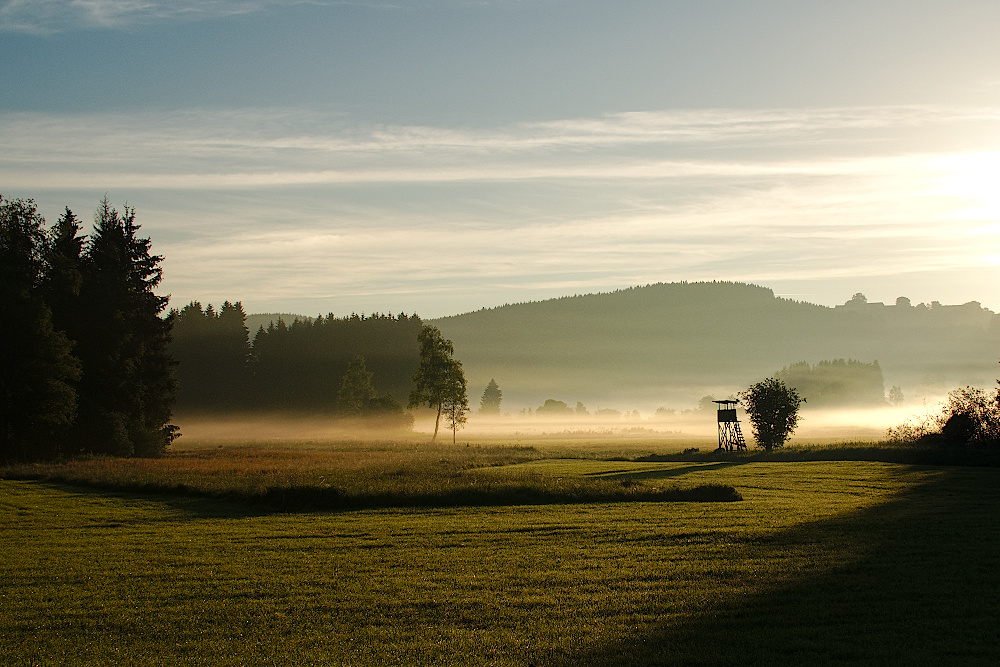 Morgenlicht_Juni2019_09_1000x667px.JPG