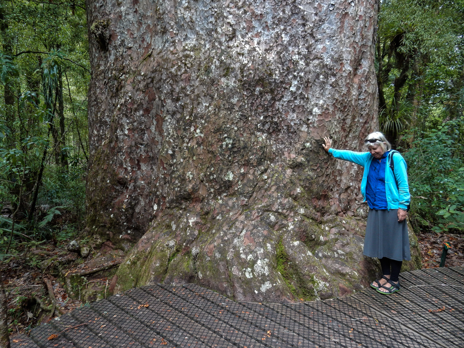 092_Autotour Nordneuseeland_108_20150309_DSCN1347108108.jpg